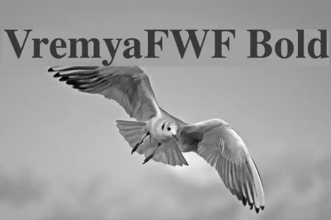 VremyaFWF Bold Font examples