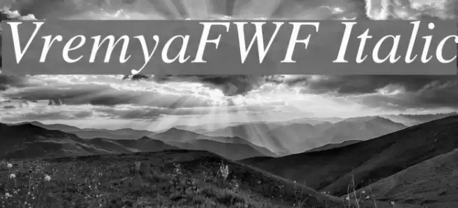 VremyaFWF Italic examples