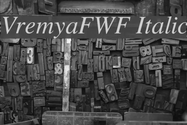 VremyaFWF Italic examples