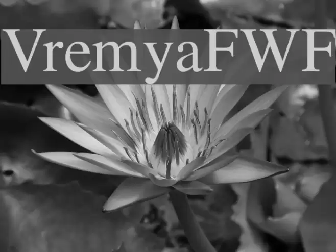 VremyaFWF Font examples