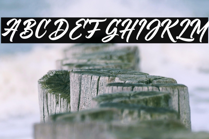 VriegbeScript Example 1