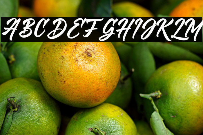 VriegbeScript Example 3