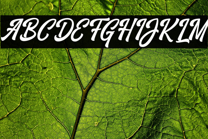 VrindalsScriptDafont Example 1