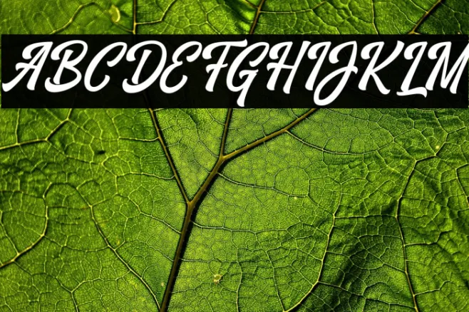 VrindalsScriptDafont Example 1