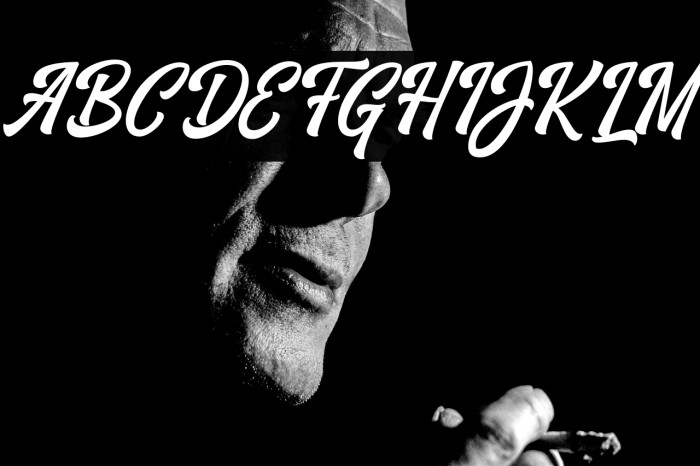 VrindalsScriptDafont Example 3