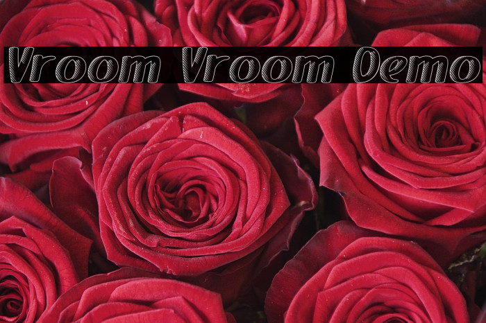 Vroom Vroom Demo Example 3