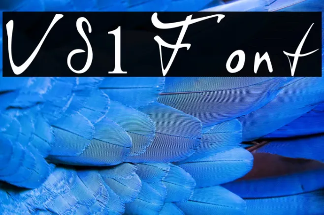 VS1 Example 3