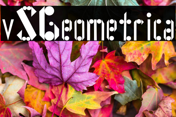 vSGeometrica Example 1