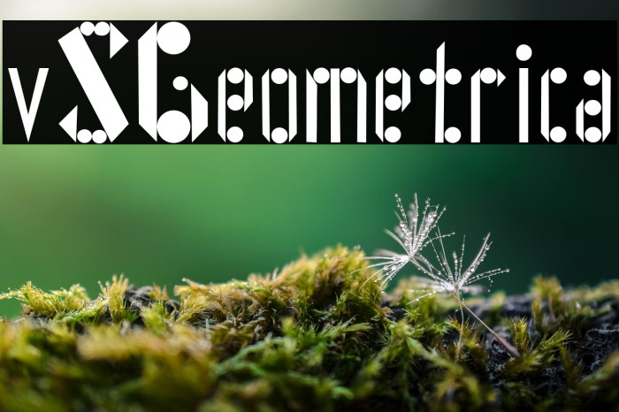 vSGeometrica Example 3