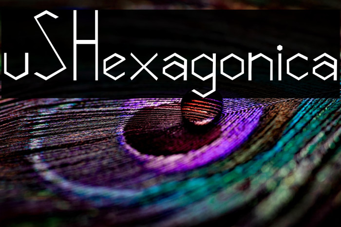 vSHexagonica Example 1