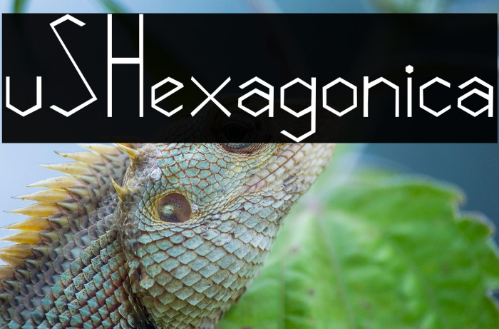 vSHexagonica Example 2