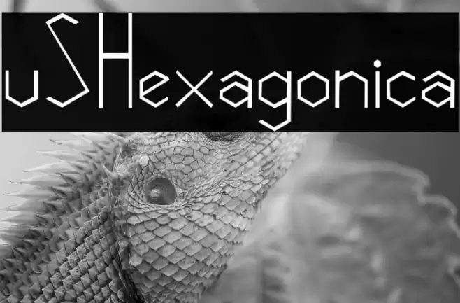 vSHexagonica خط examples