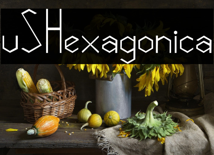 vSHexagonica Example 3