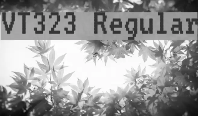 VT323 Regular Font examples