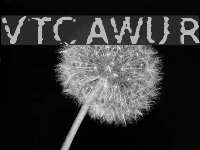 VTC AllWashedUp Regular Font examples