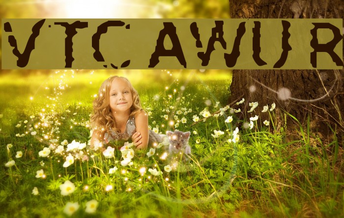 VTC AllWashedUp Regular Example 2