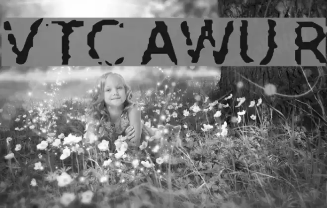 VTC AllWashedUp Regular Font examples