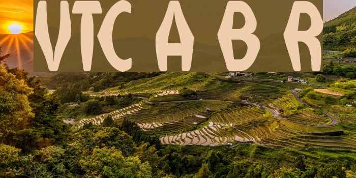 VTC Anglika Bent Regular Font examples