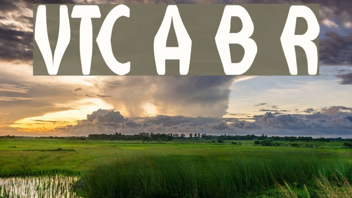 VTC Anglika Bent Regular Font examples