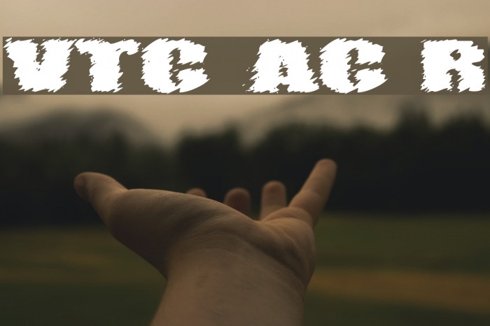 VTC AngoraChik Regular Example 1