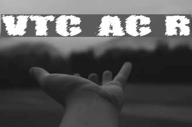 VTC AngoraChik Regular Font examples