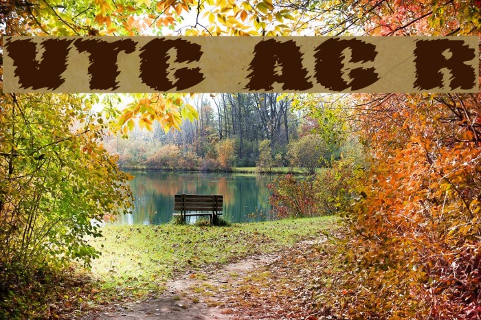 VTC AngoraChik Regular Example 2