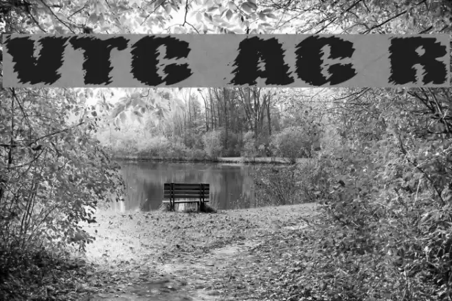 VTC AngoraChik Regular Font examples