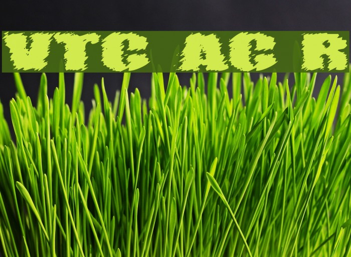 VTC AngoraChik Regular Example 3