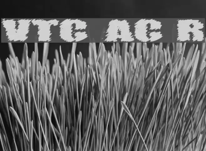 VTC AngoraChik Regular Font examples