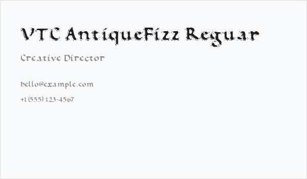 VTC AntiqueFizz Reguar Business Card