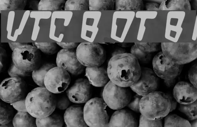 VTC Bad DataTrip Bold Italic Font examples