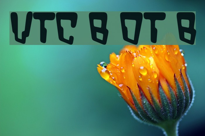 VTC Bad DataTrip Bold لخطوط تنزيل examples