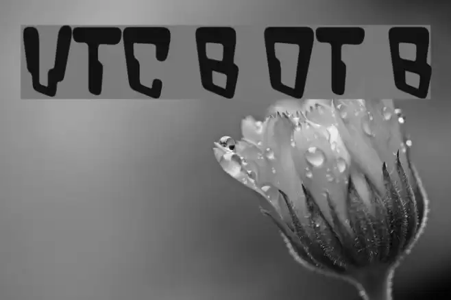 VTC Bad DataTrip Bold خط examples