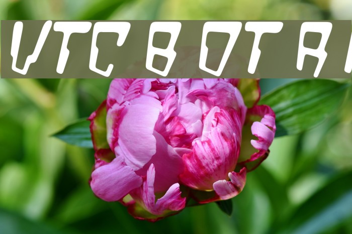 VTC Bad DataTrip Regular Italic フォント examples