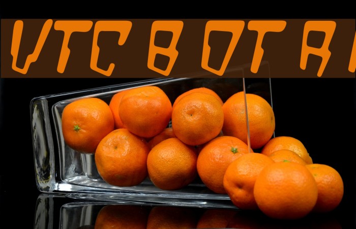 VTC Bad DataTrip Regular Italic フォント examples