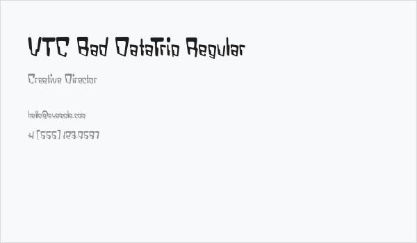 VTC Bad DataTrip Regular Business Card