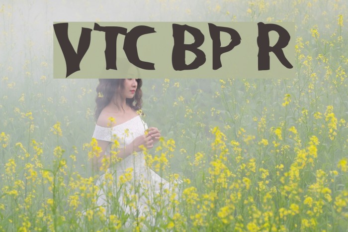 VTC BadPaint Regular Font examples