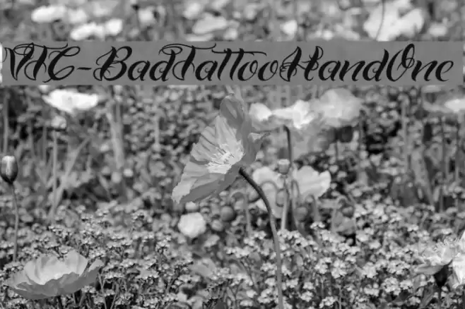 VTC-BadTattooHandOne Schriftart examples