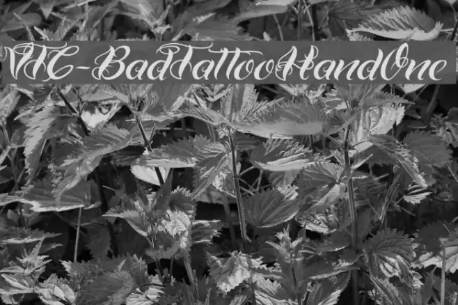 VTC-BadTattooHandOne Schriftart examples