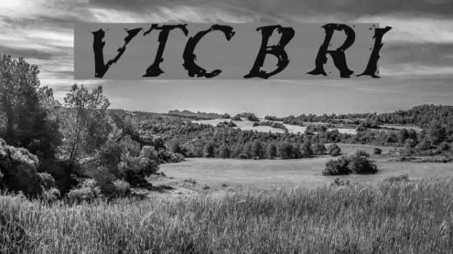 VTC Boseephus RegularItalic Schriftart examples