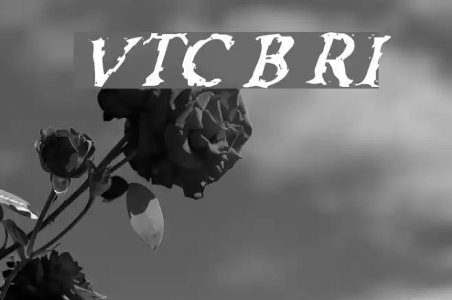 VTC Boseephus RegularItalic Schriftart examples