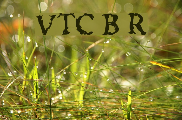 VTC Boseephus Regular Font examples