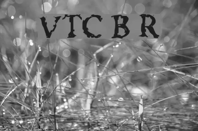 VTC Boseephus Regular Fonte examples