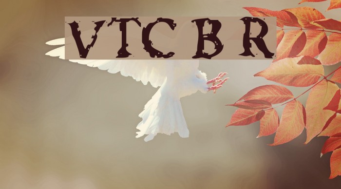 VTC Boseephus Regular Font examples