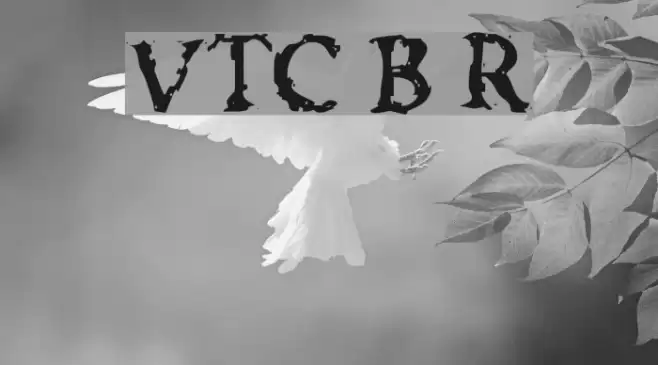 VTC Boseephus Regular Fonte examples