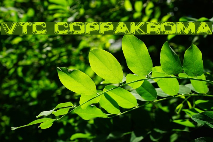 VTC CoppaKroma Font examples