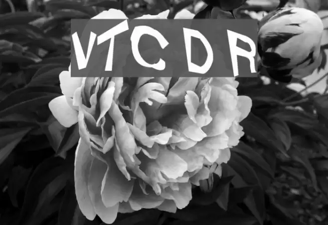 VTC Dizplaced Regular Schriftart examples