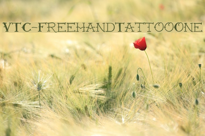 VTC-FreehandTattooOne Font examples