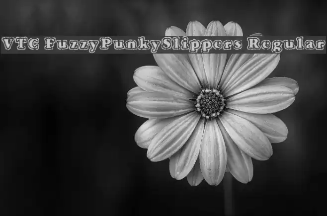 VTC FuzzyPunkySlippers Regular Font examples