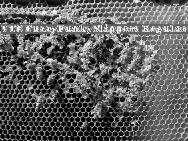 VTC FuzzyPunkySlippers Regular Font examples